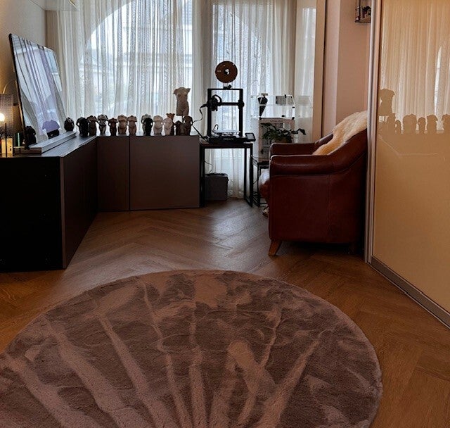 3D zwangerschapsbeeldje Tiel Geldermalsen Utrecht Den Bosch Nijmegen