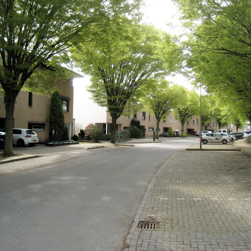 elisabethgruytersstraat9jpg.jpg