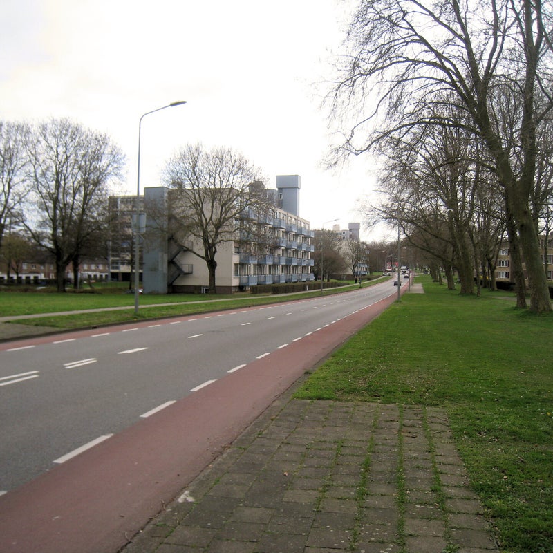 malbergsingel9jpg.jpg