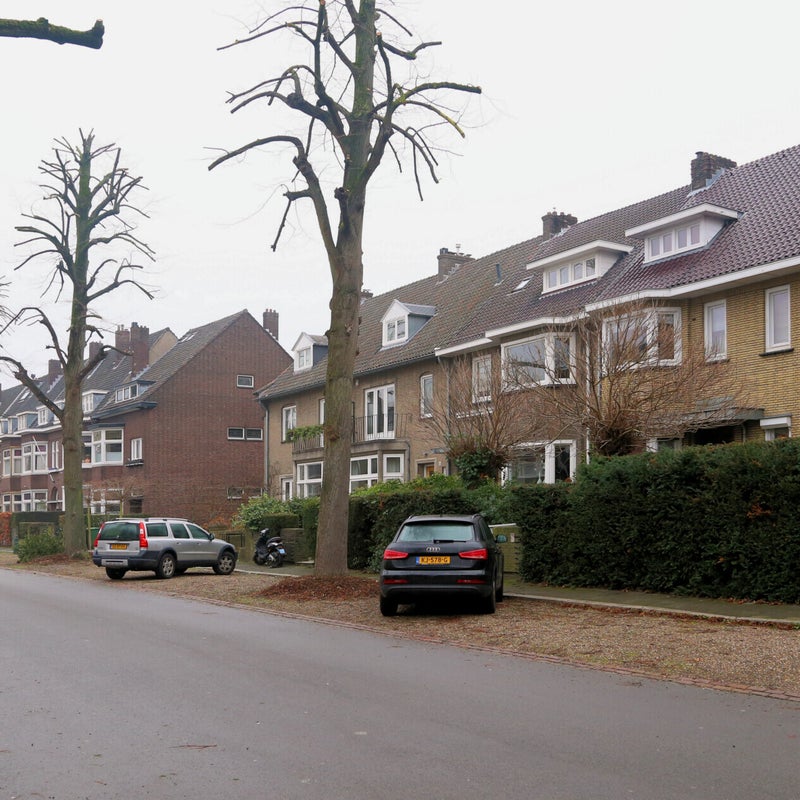 Waldeckstraat10.jpg