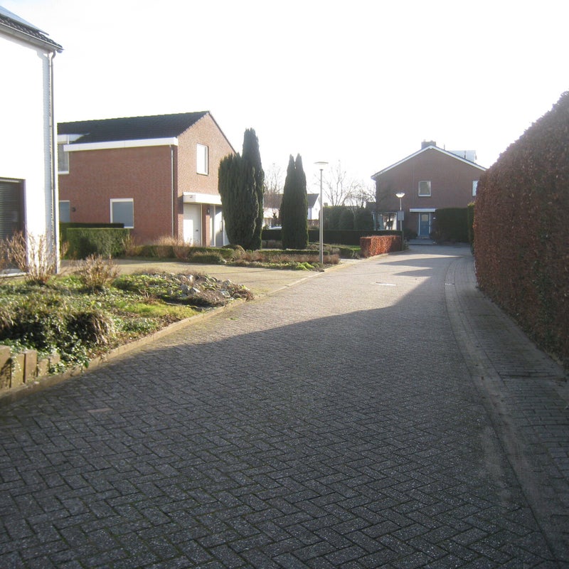 sparrenhoven5jpg-1.jpg