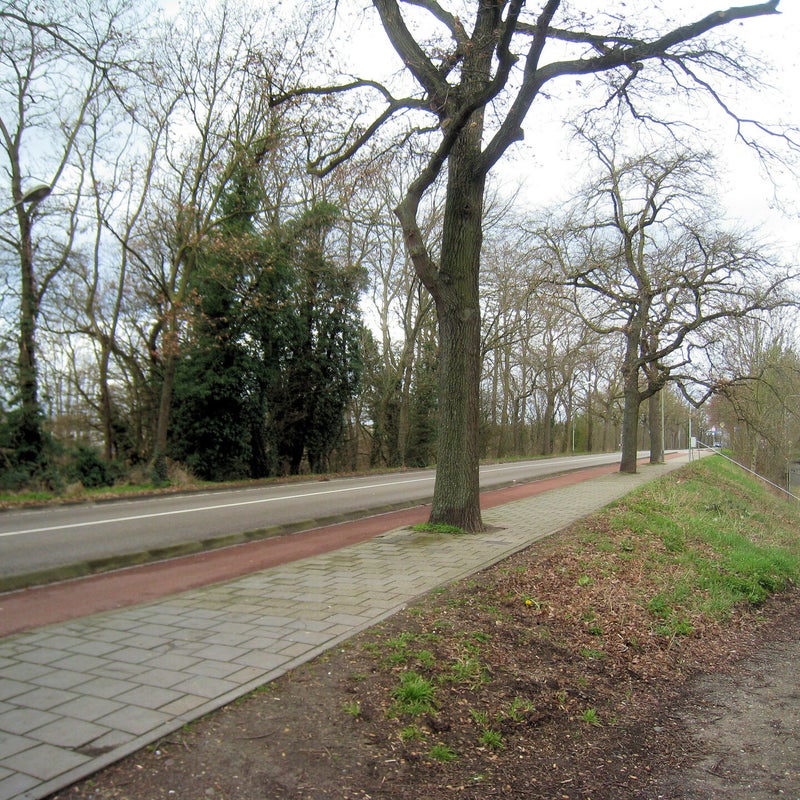 bosscherweg24jpg.jpg