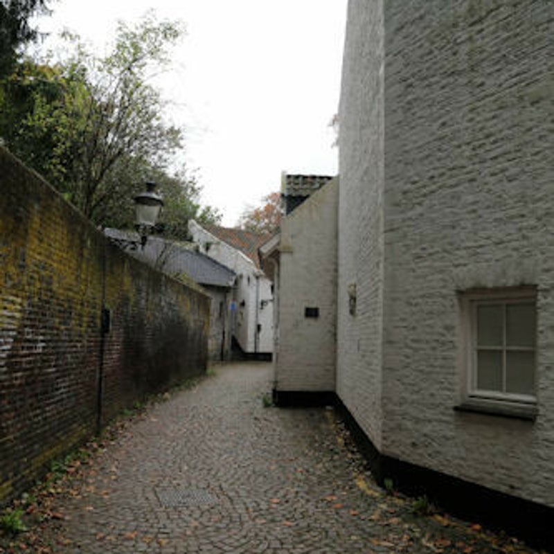 MolenHeksenhoek2.jpg