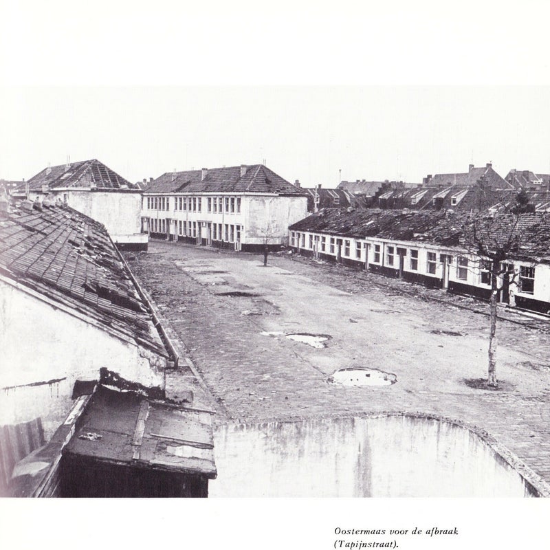 RobvanBogaert1-17.jpg