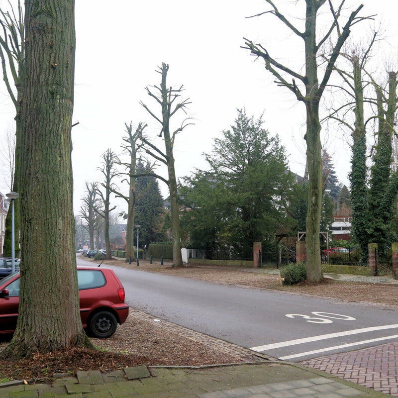 Waldeckstraat3.jpg