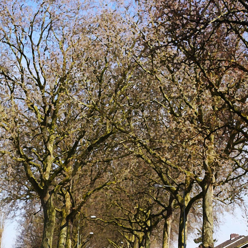 heer7januaristraat8a14april2015.jpg