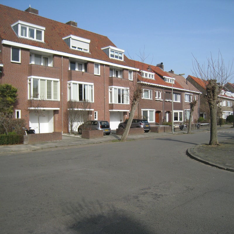 Padualaan4.jpg