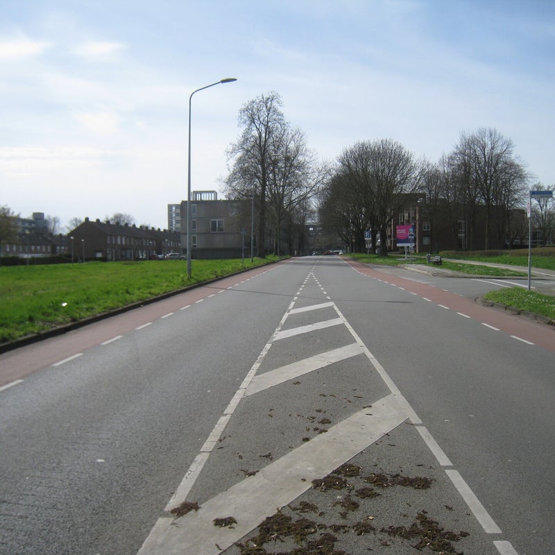 malbergsingel6jpg.jpg