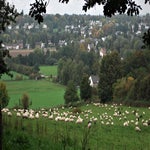 HerfstwandelingM-J030.jpg