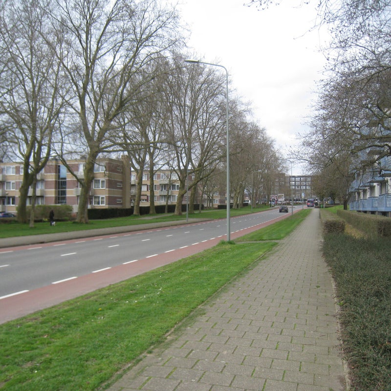 malbergsingel14jpg.jpg