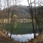 img_3525jpg-1.jpg