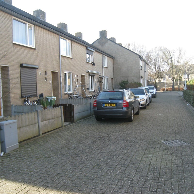 Tapijnstraat2.jpg