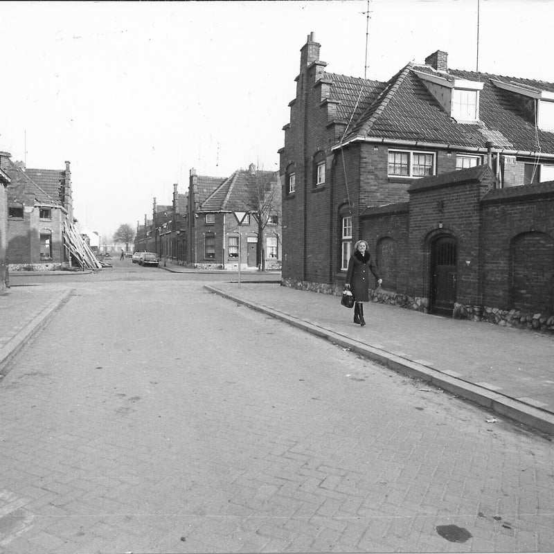 RobvanBogaert7-3.jpg