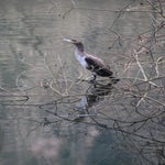 img_3537jpg.jpg
