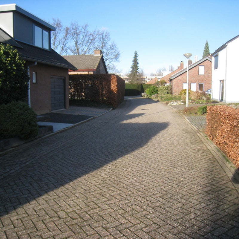 sparrenhoven4jpg.jpg