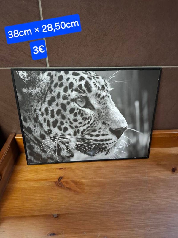 Cadre décoratif en bois Tigre 38cm × 28,50cm