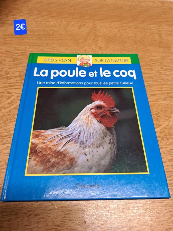 La poule et le coq Gros plan sur la nature