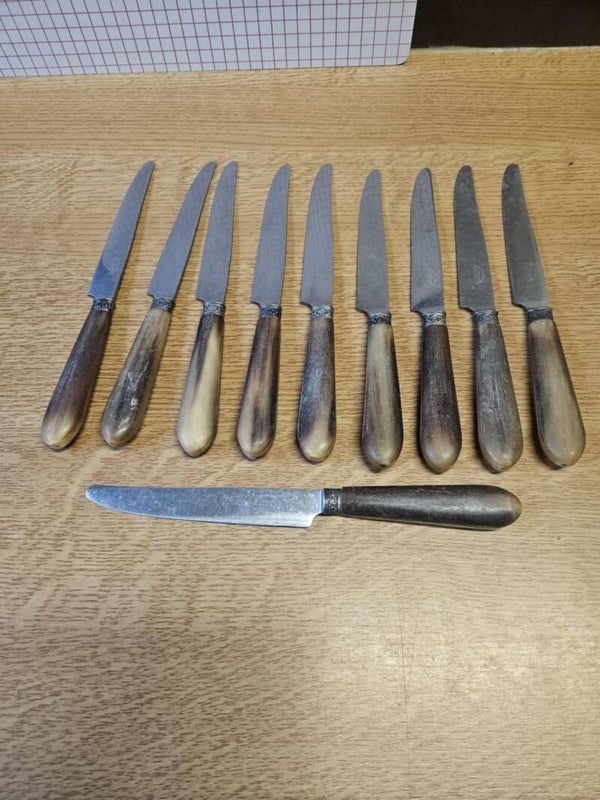 Lot de 10 couteaux avec manche en plastique