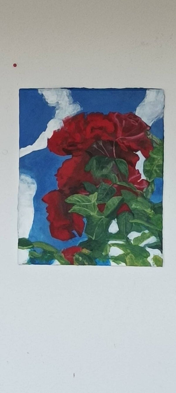 Roses