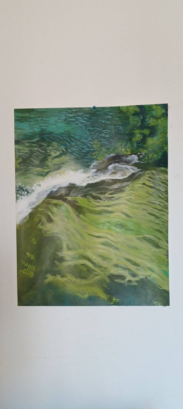 Algues (paysage croate)