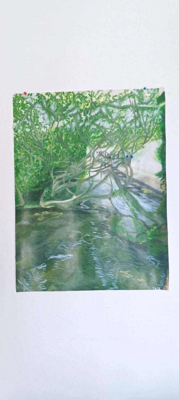 Vue sur cours d'eau (paysage croate)