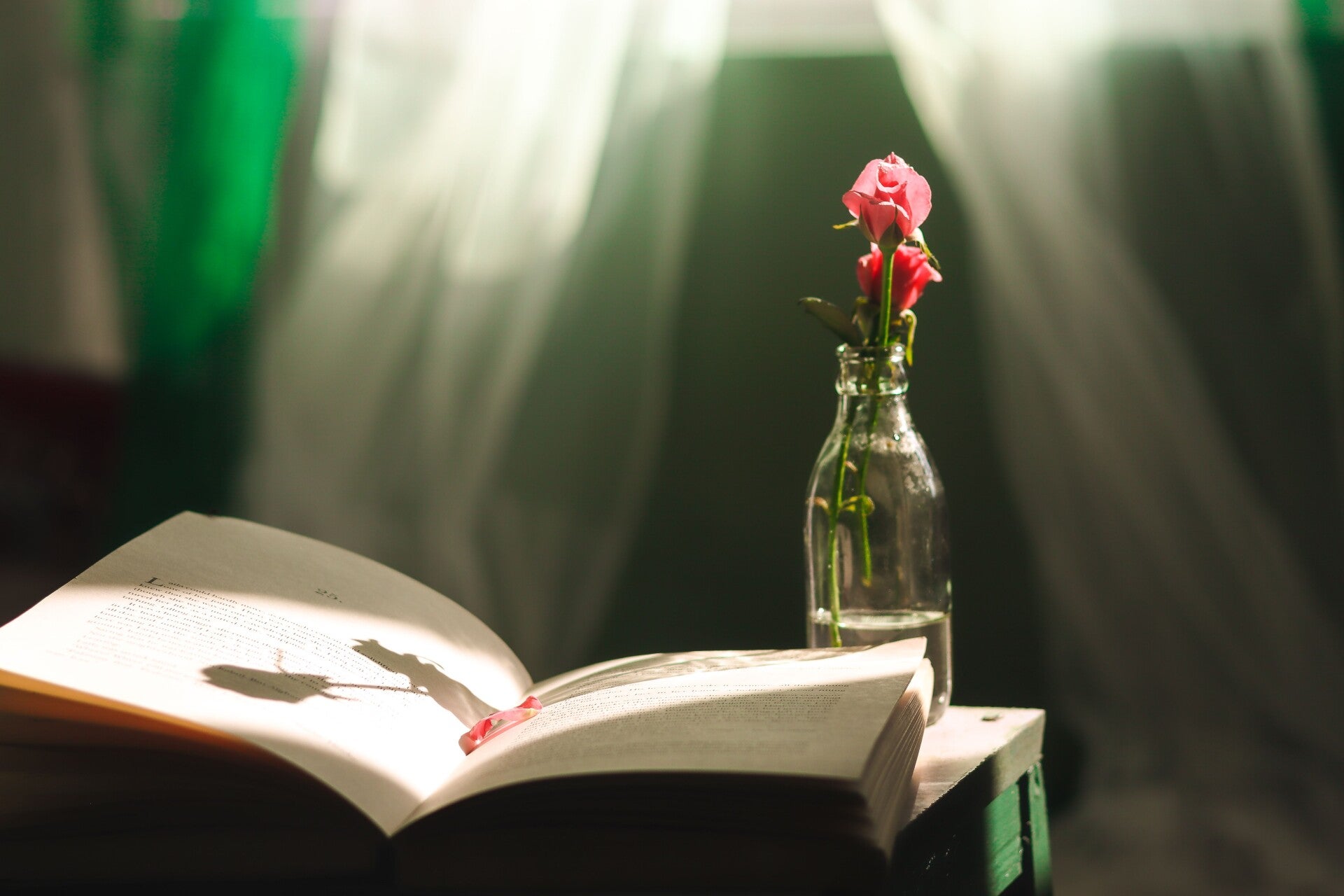 Glazen bokaal met rode bloem op een open boek.
