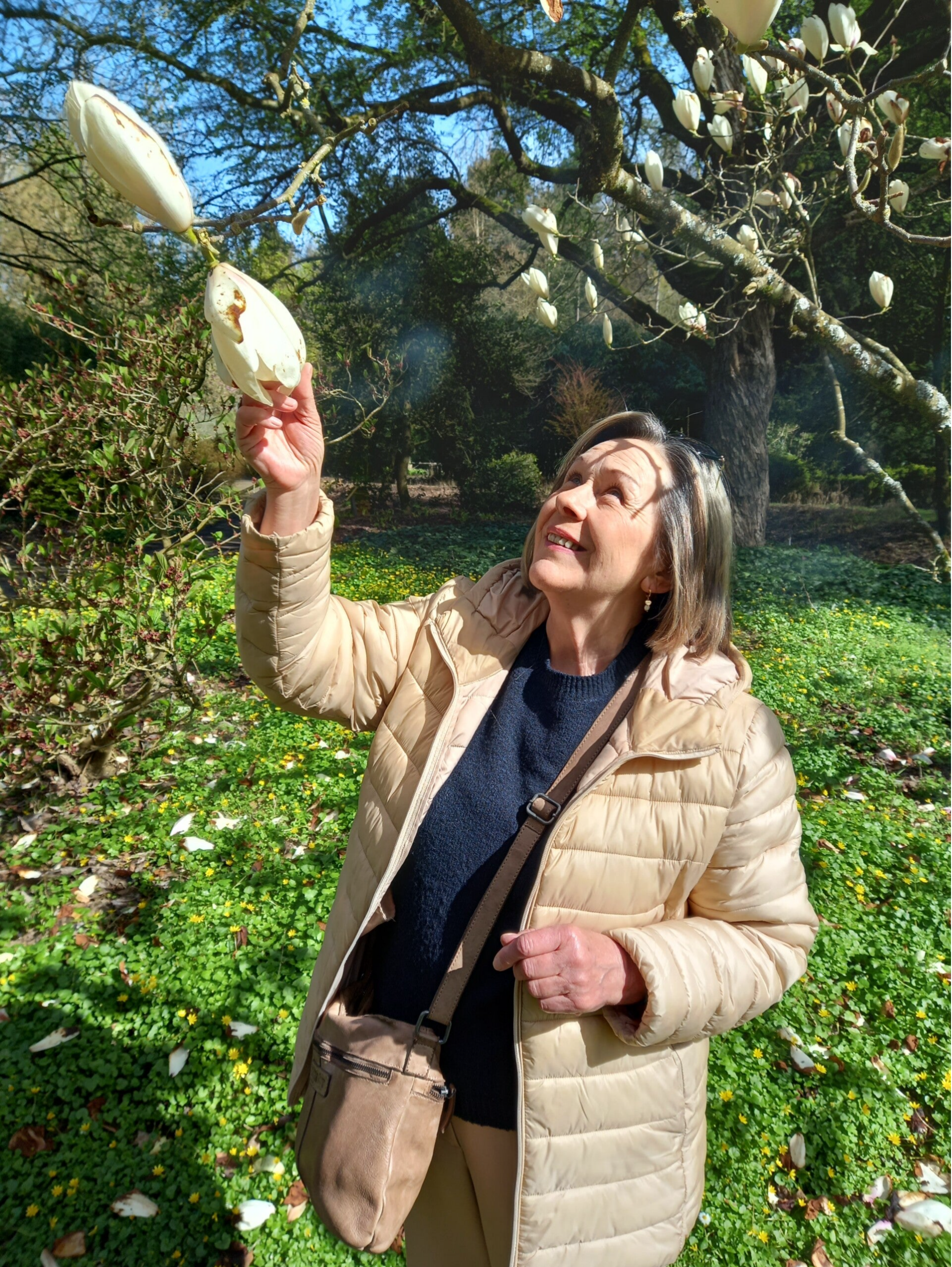 Foto van vrouw die wandelt tussen de bloeiende bloemen en een bloem vasthoudt.