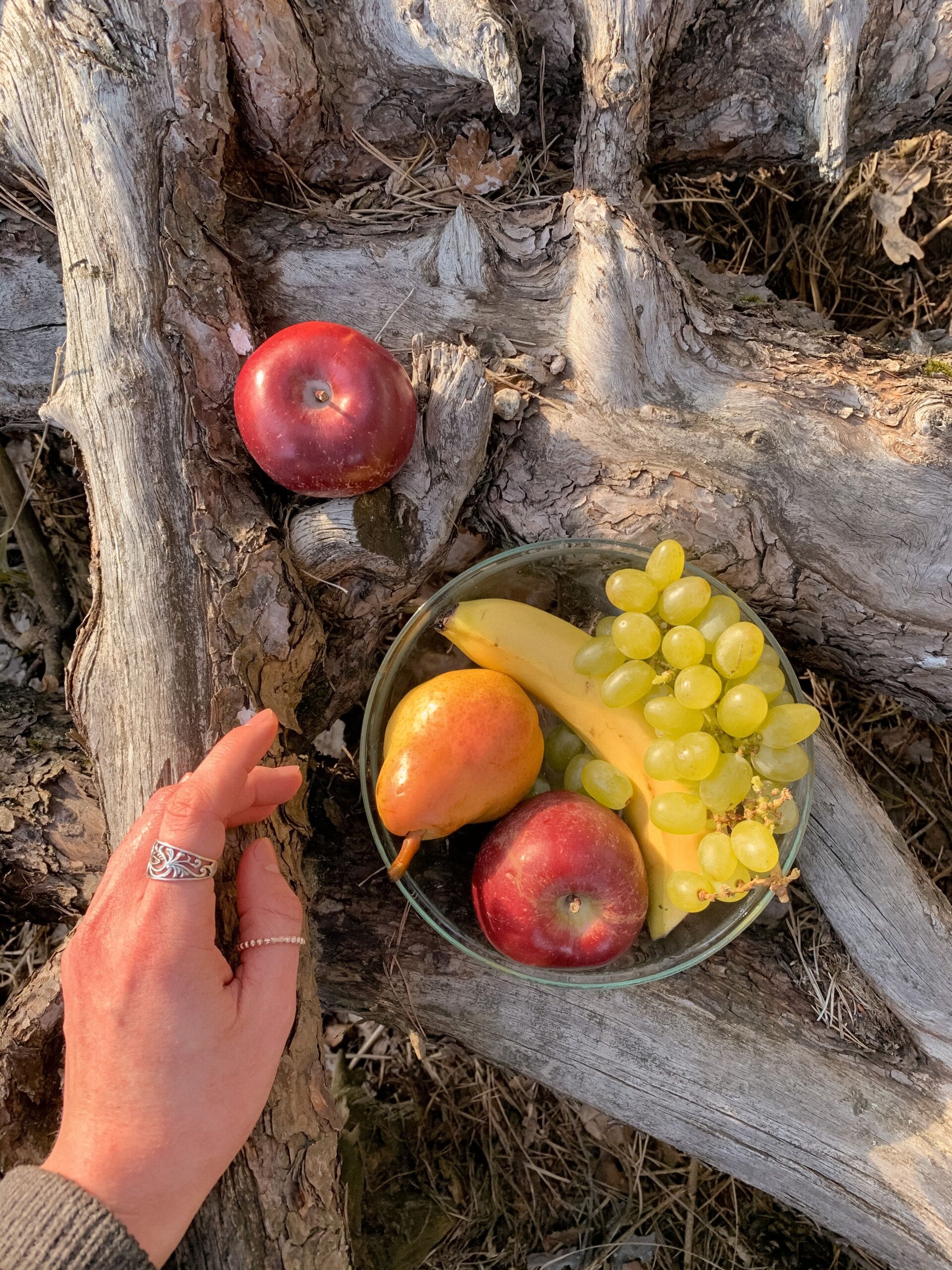 Kom met appel, peer, mandarijn, banaan en druiven.