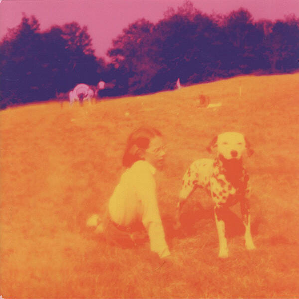 CD | Eels – Blinking Lights And Other Revelations