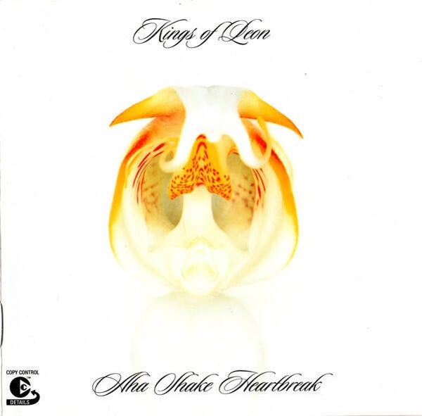 CD | Kings Of Leon – Aha Shake Heartbreak