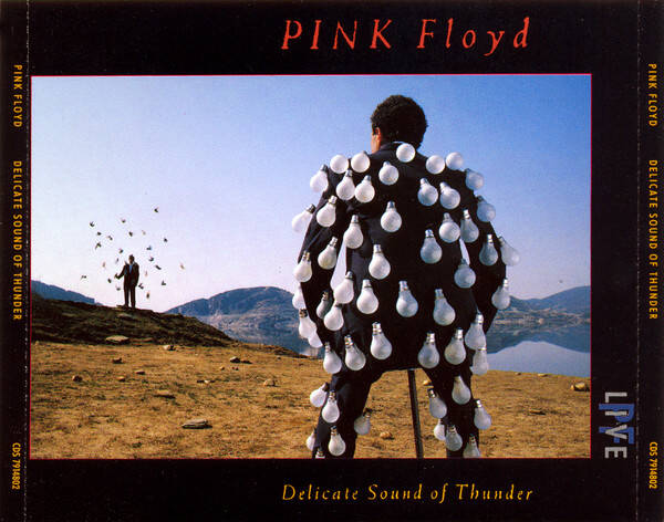 CD | Pink Floyd – Delicate Sound Of Thunder
