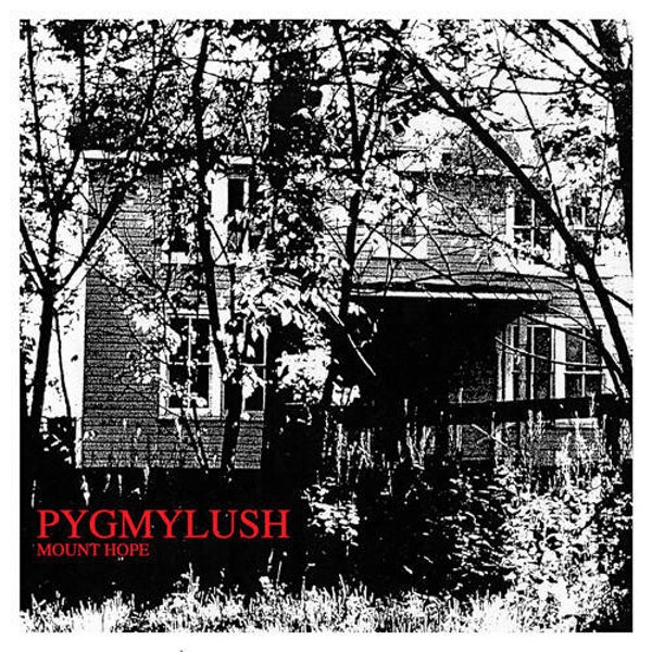 CD | Pygmy Lush – Mount Hope