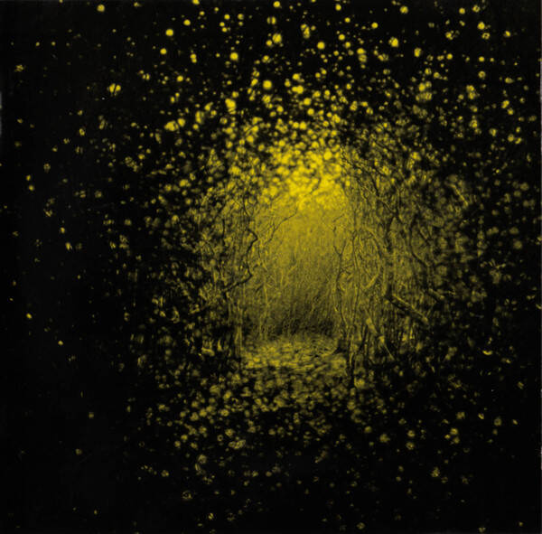 CD | The Antlers – Burst Apart