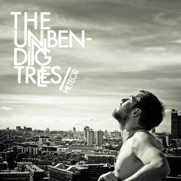 CD | The Unbending Trees – Meteor
