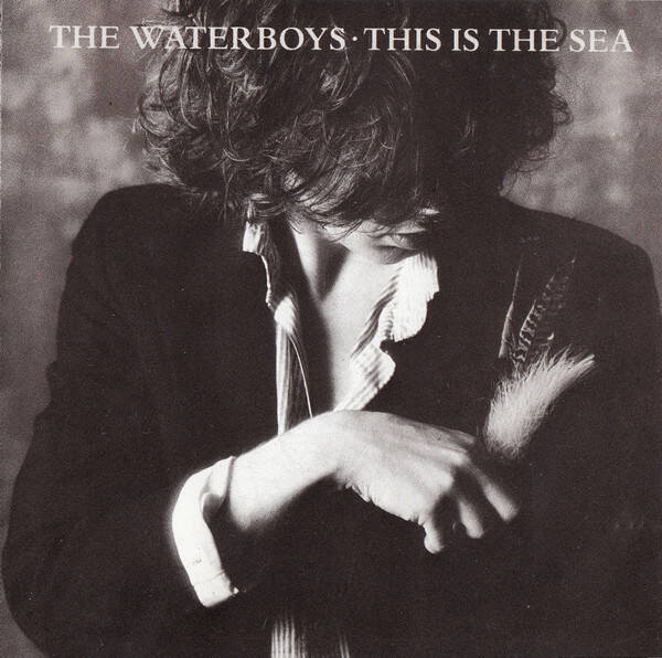 CD | The Waterboys – This Is The Sea