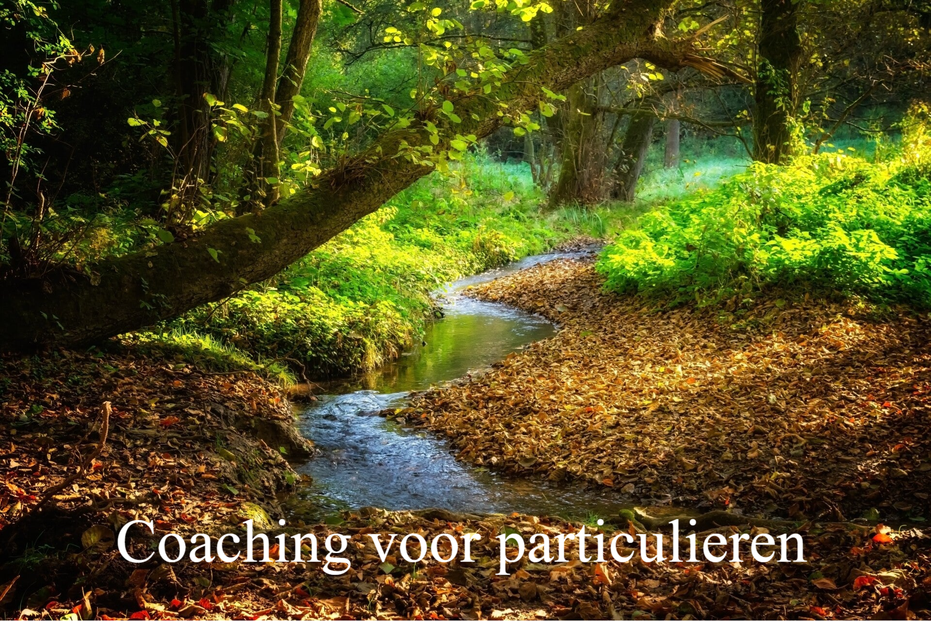 Coaching voor particulieren
