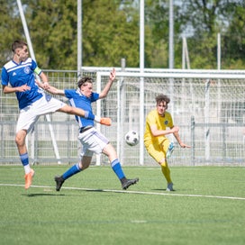 dsc_0404-standard.jpg