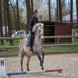 dsc_1014-standard.jpg