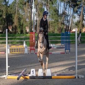 dsc_1437-standard.jpg