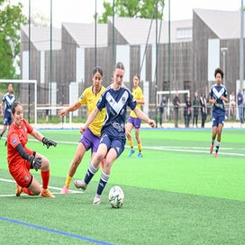 dsc_1997-standard.jpg