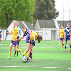 dsc_2019-standard.jpg