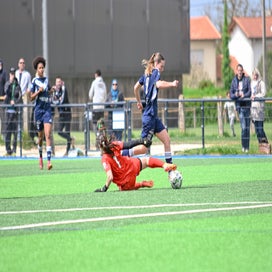 dsc_2127-standard.jpg