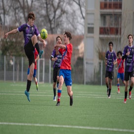 dsc_2381-standard.jpg