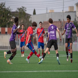 dsc_2474-standard.jpg