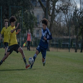 dsc_2581-standard.jpg