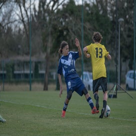 dsc_2600-standard.jpg