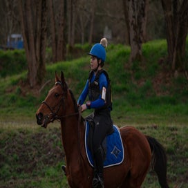 dsc_3238-standard.jpg