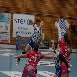 dsc_4515-standard-2gav43.jpg