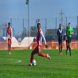 dsc_6119-standard.jpg