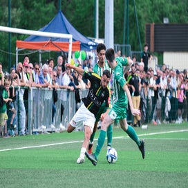dsc_6883-standard.jpg